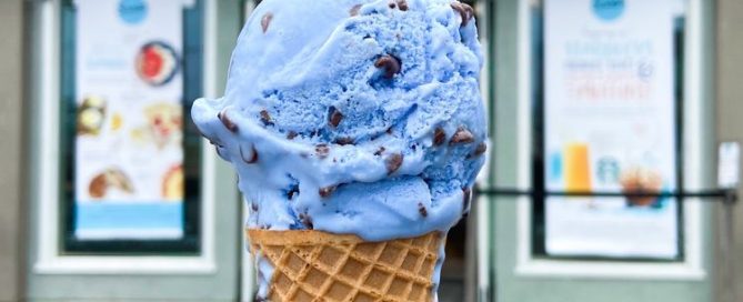Scoops in Avalon on Catalins Island